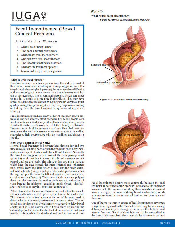 Accidental Bowel Leakage (Fecal Incontinence)