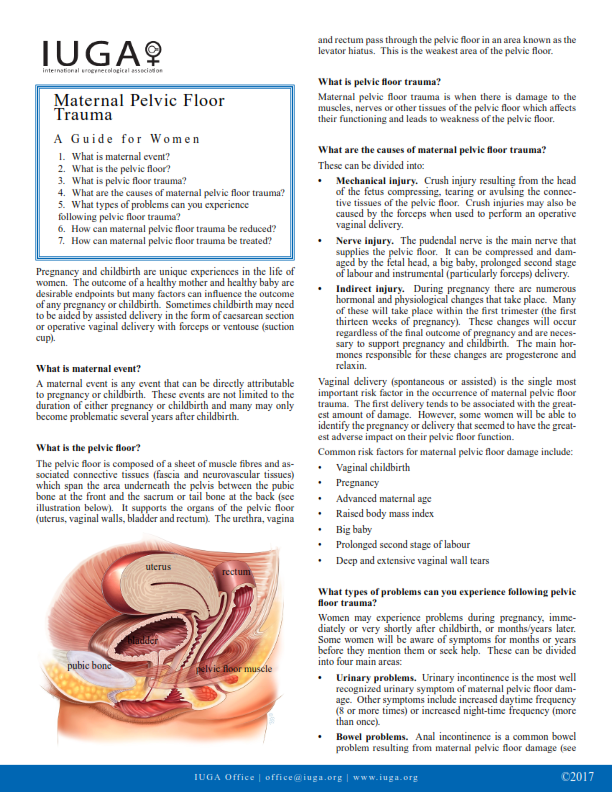 Maternal Pelvic Floor Trauma