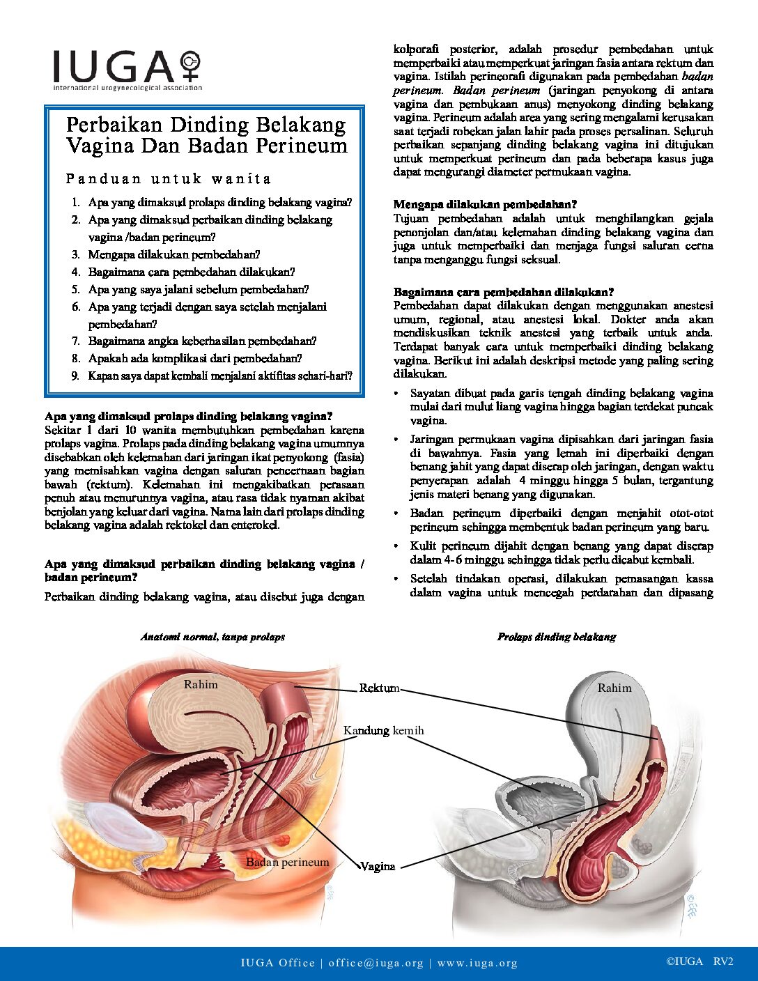 posterior-vaginal-wall-and-perineal-body-repair-Indonesian-RV2 - Your  Pelvic Floor